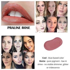 Lipsense- Praline Rose